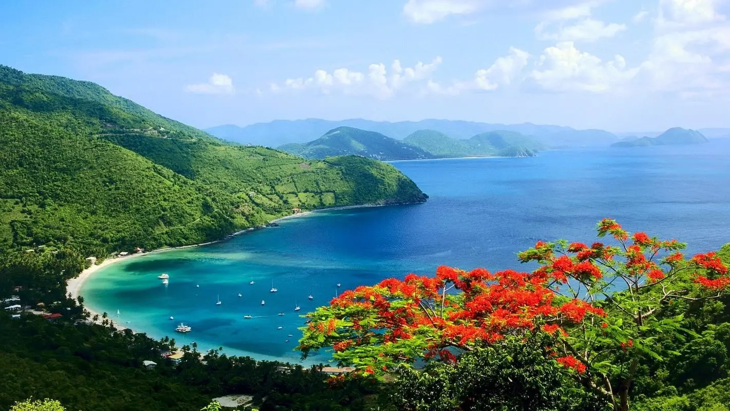 高效自动化